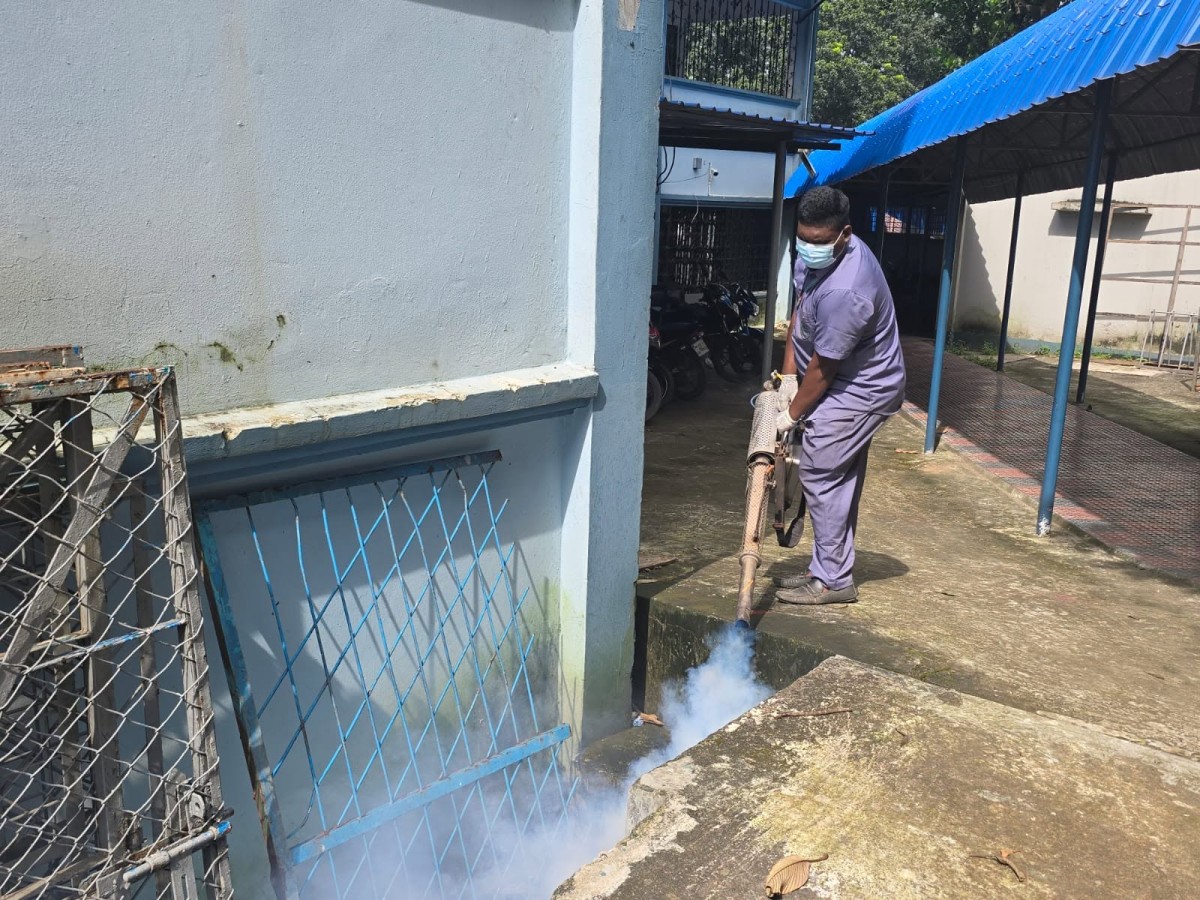 Dengue Awareness Week from 20–24 September
